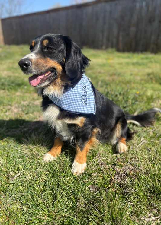 Embroidered Dog Bandana : Light Blue Gingham