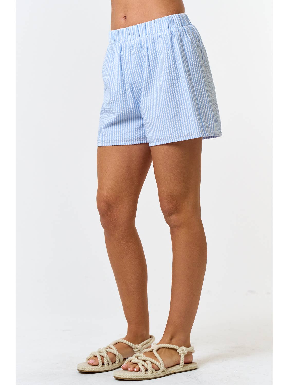 Shoreside Stripe Shorts