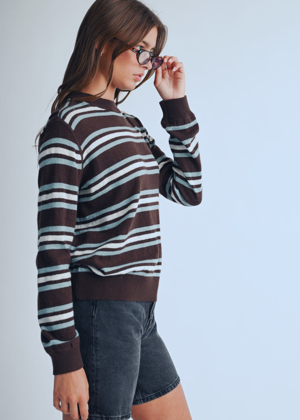 Stripe Crewneck in Chocolate
